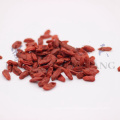 30% Discount Hot sale  With Eu organic certification goji berry extract Wild Organic From Qinghai Manufacturer